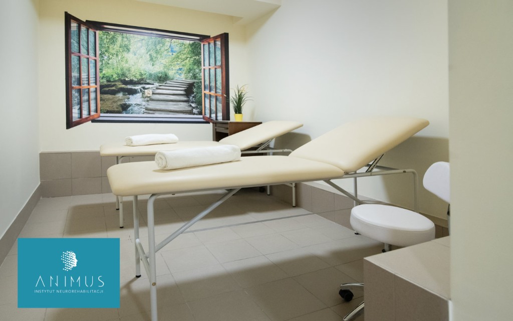Instytut Neurorehabilitacji „Animus” w Olsztynie
