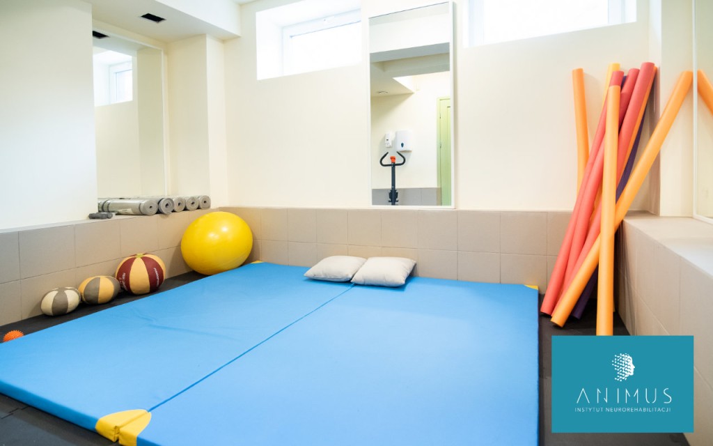 Instytut Neurorehabilitacji „Animus” w Olsztynie dysponuje profesjonalną bazą rehabilitacyjną