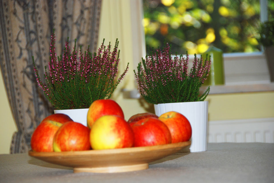 Dom Seniora „Piano" w Piasecznie