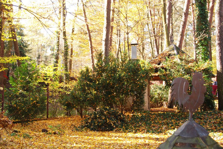 Dom Seniora „Piano" w Piasecznie