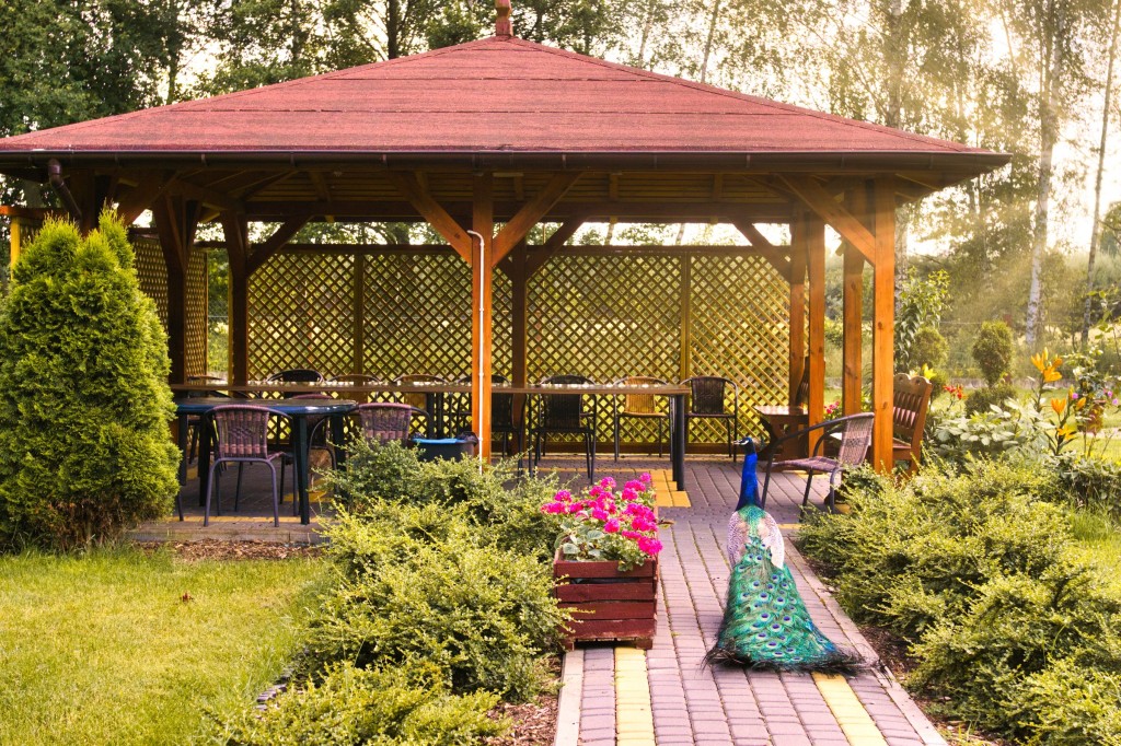 Do dyspozycji mieszkańców Rodzinnego Domu Seniora „Leśne Zacisze” w Sobieniach Kiełczewskich jest ogród z alejami spacerowymi oraz drewnianą altaną