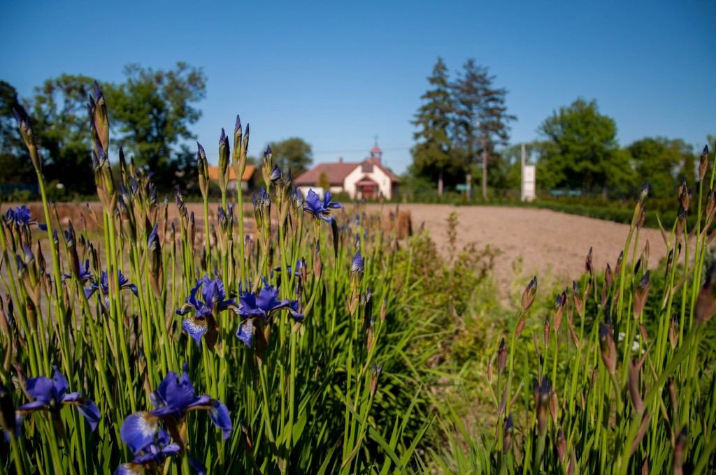 Widok na Dom Opieki „Nestor" w Wojszczycach