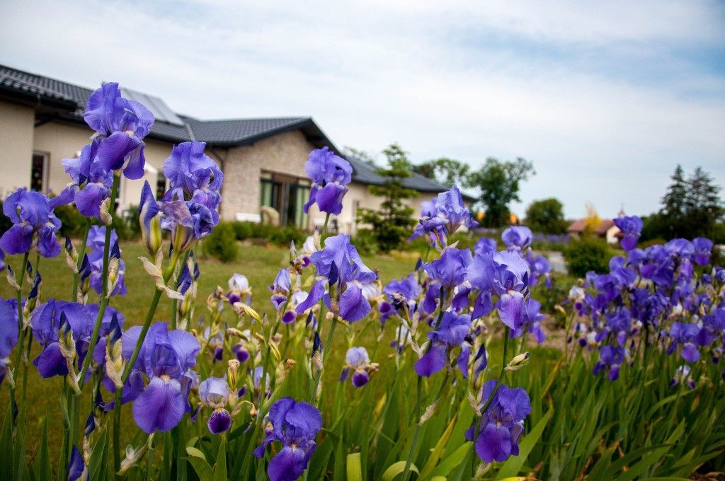 Dom Opieki „Nestor" w Wojszczycach
