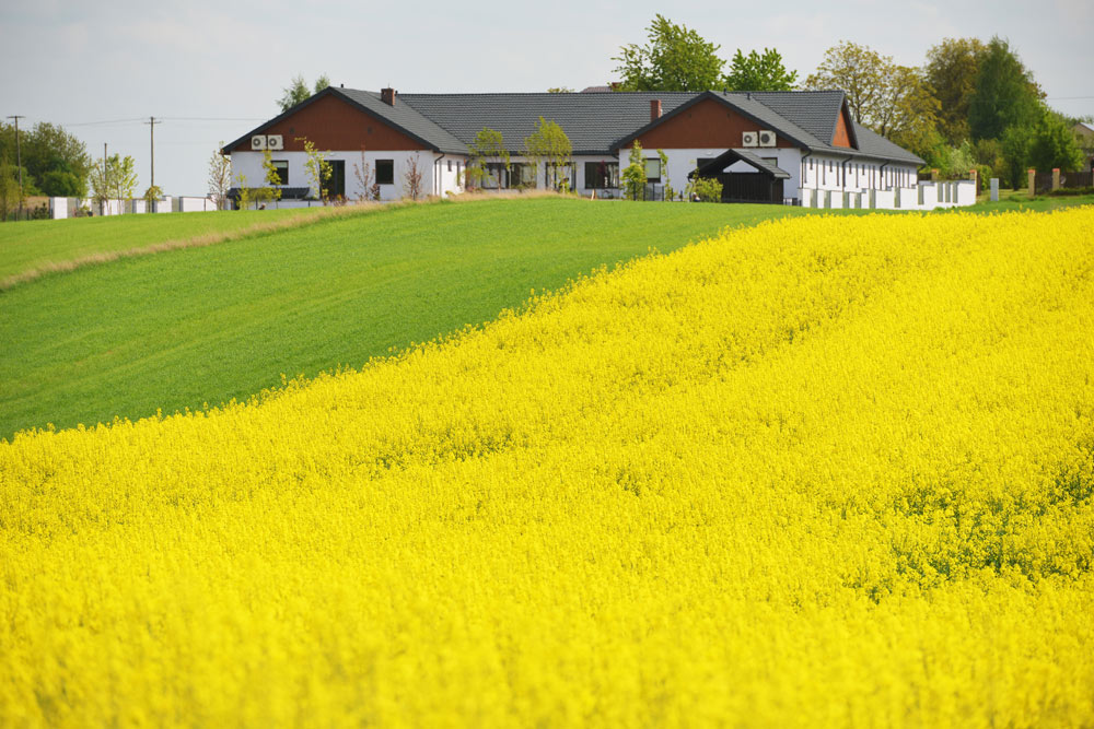 Widok na Dom Opieki i Rehabilitacji „Comfort Place” w Jastkowie 