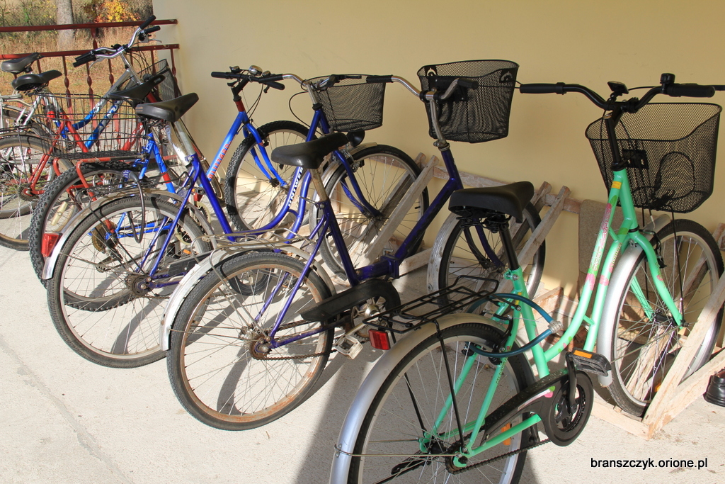 Dom Emeryta im. Świętego Alojzego Orione w Brańszczyku oferuje swoim podopiecznym różnego rodzaju aktywności