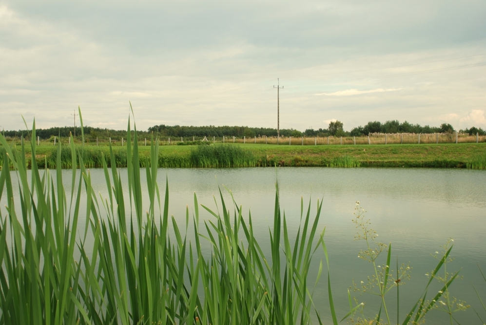 Całodobowy Dom Opieki „Husaria” w Jaszczułtach