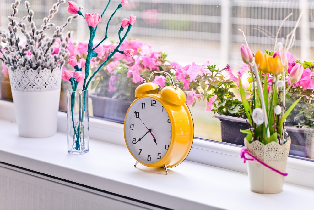 Dom Spokojnej Starości „Słoneczny Parasol” w Sulbinach