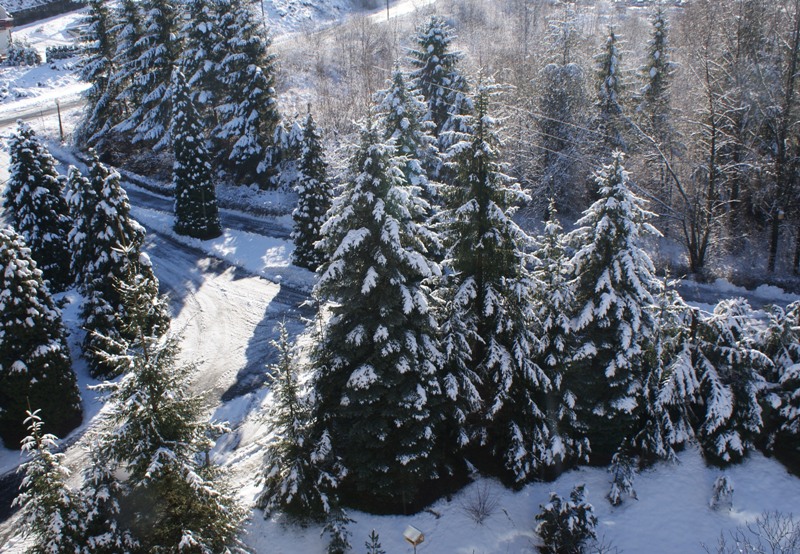 Dom Aktywnego Seniora „Tulipan” w Ustroniu