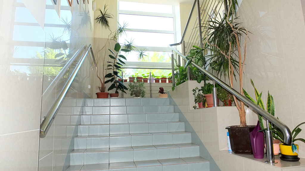 Dom Opieki „Jesienna Róża” w Sosnowcu