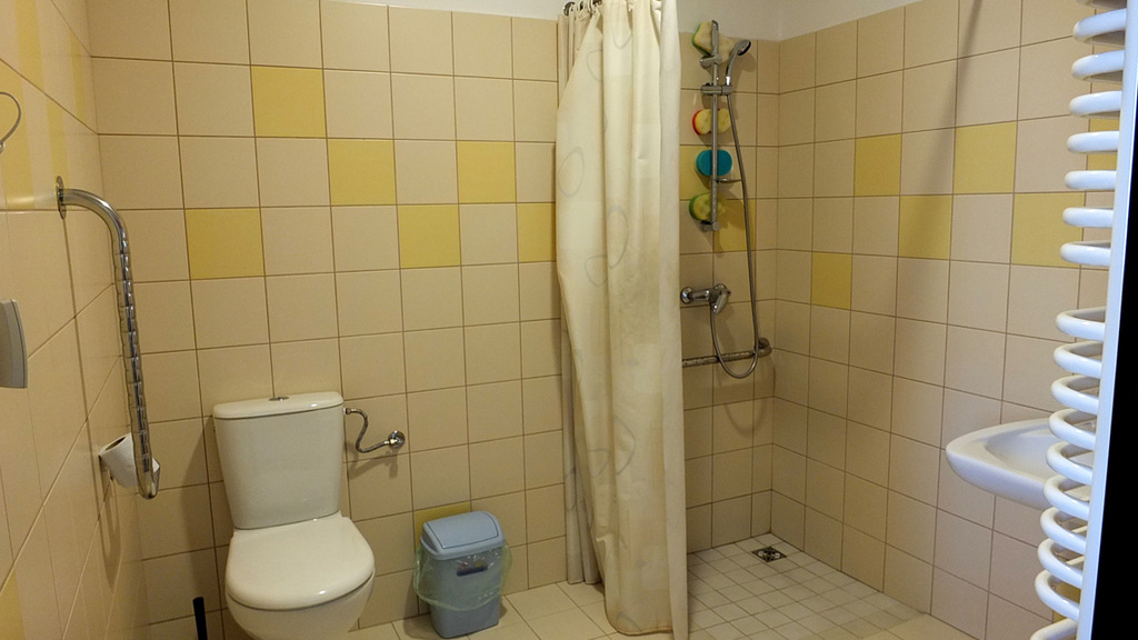 Dom Opieki „Jesienna Róża” w Sosnowcu