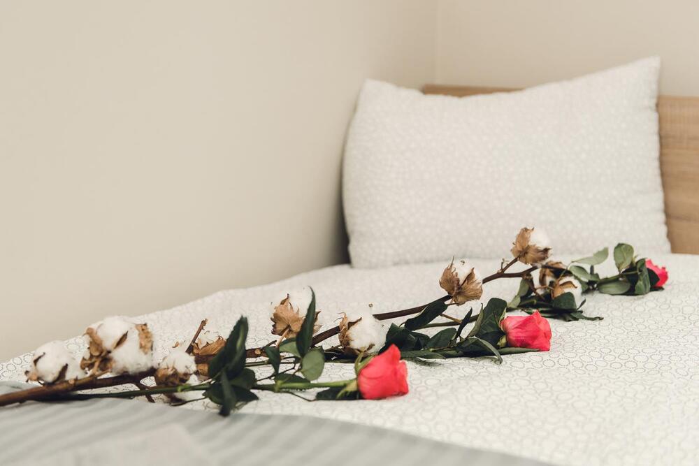 Zakład Opiekuńczo-Leczniczy „MAX” w Łówkowicach