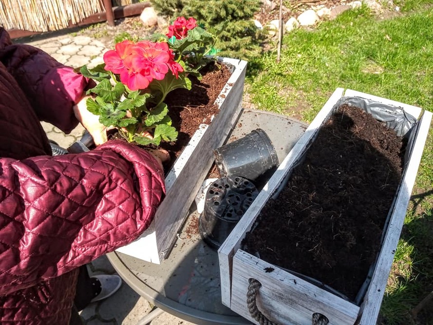 Prywatny Dom Opieki „Zakątek Seniora” w Plebance zapewnia seniorom terapię zajęciową - na zdjęciu zajęcia ogrodnicze