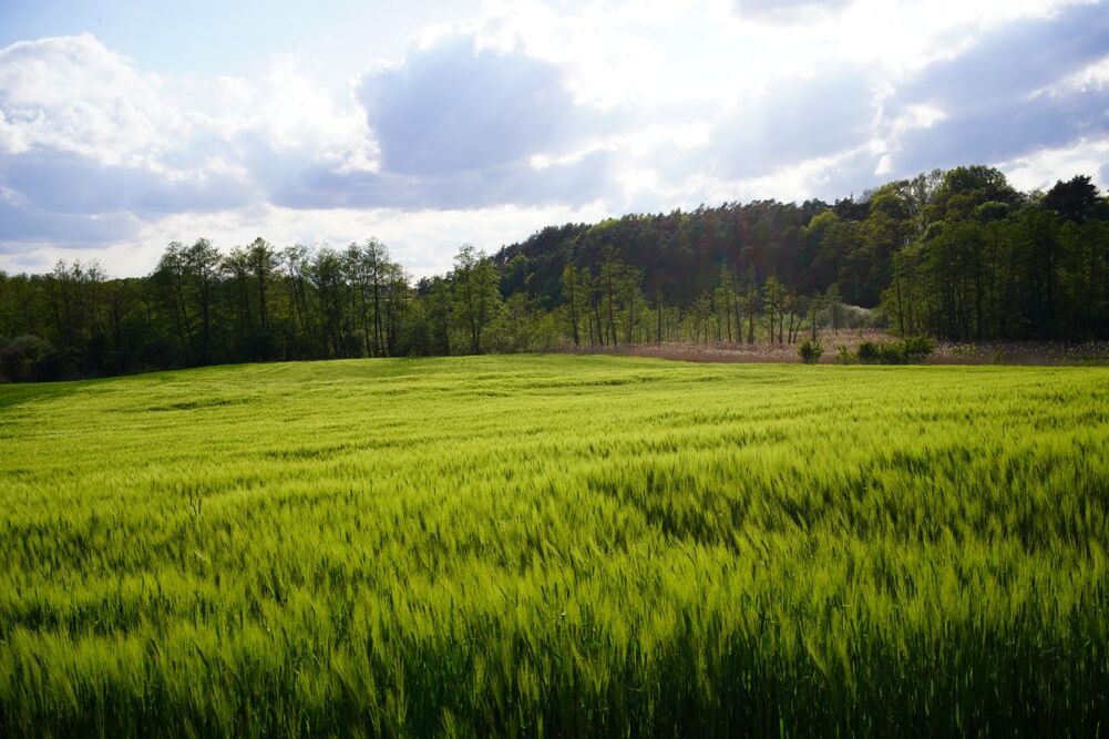 Dom Pomocy Społecznej w Katarzynkach