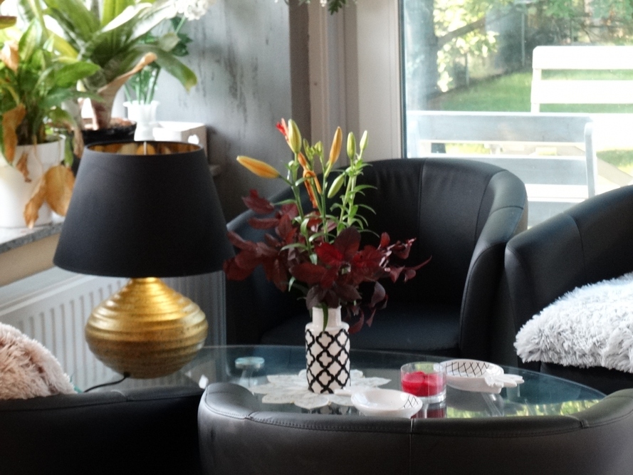 Rezydencje „Dwór Zawiszy” w Dylakach