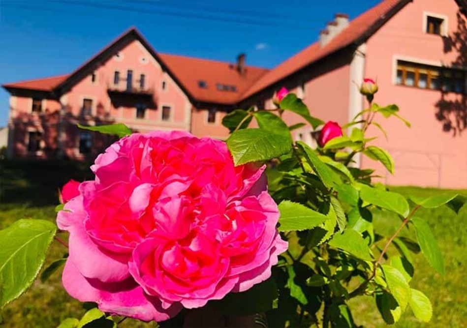 Pensjonacik Rodzinny pod Dębami w miejscowości Kania