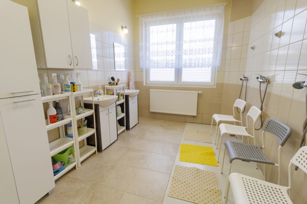 Rodzinny Dom Spokojnej Starości „Słoneczny Las” w Stanisławowie