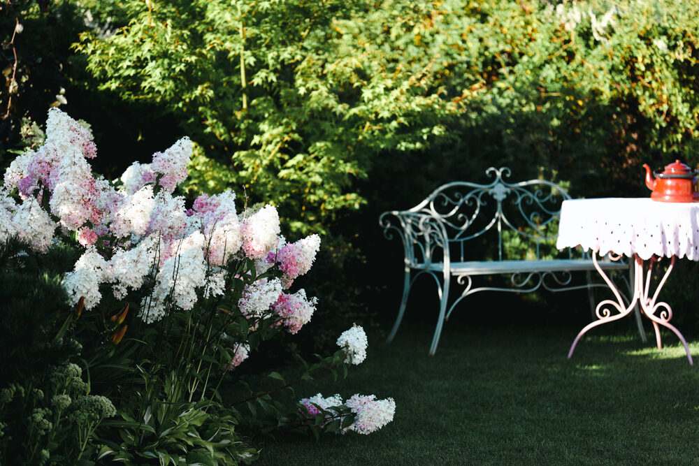 Ogród przed Domem Opieki „Przestrzeń Seniora” w Żyrardowie