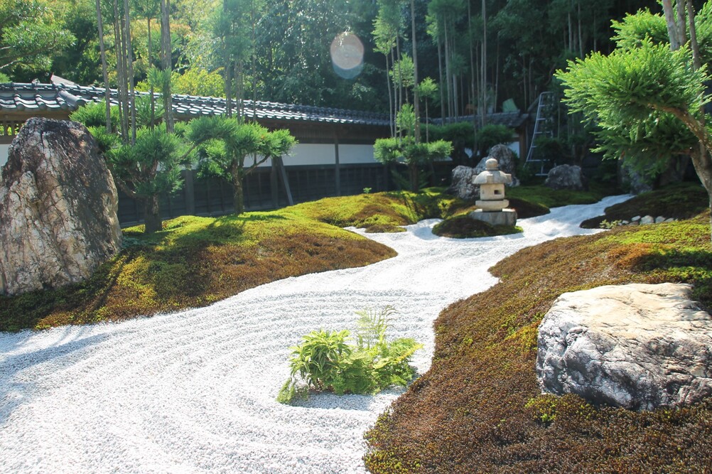 Dom Opieki w Korzennie