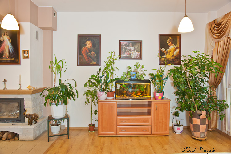 Dom Spokojnej Starości w Kobyłce