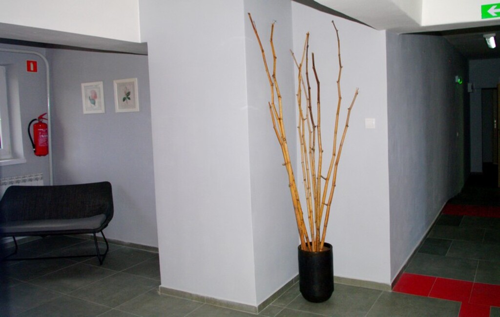 Dom Opieki „Rokszyce” w Rokszycach Drugich