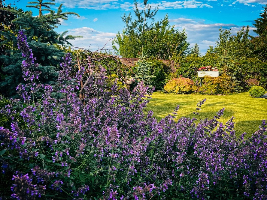 Dom Opieki „Przestrzeń Seniora” w Żyrardowie