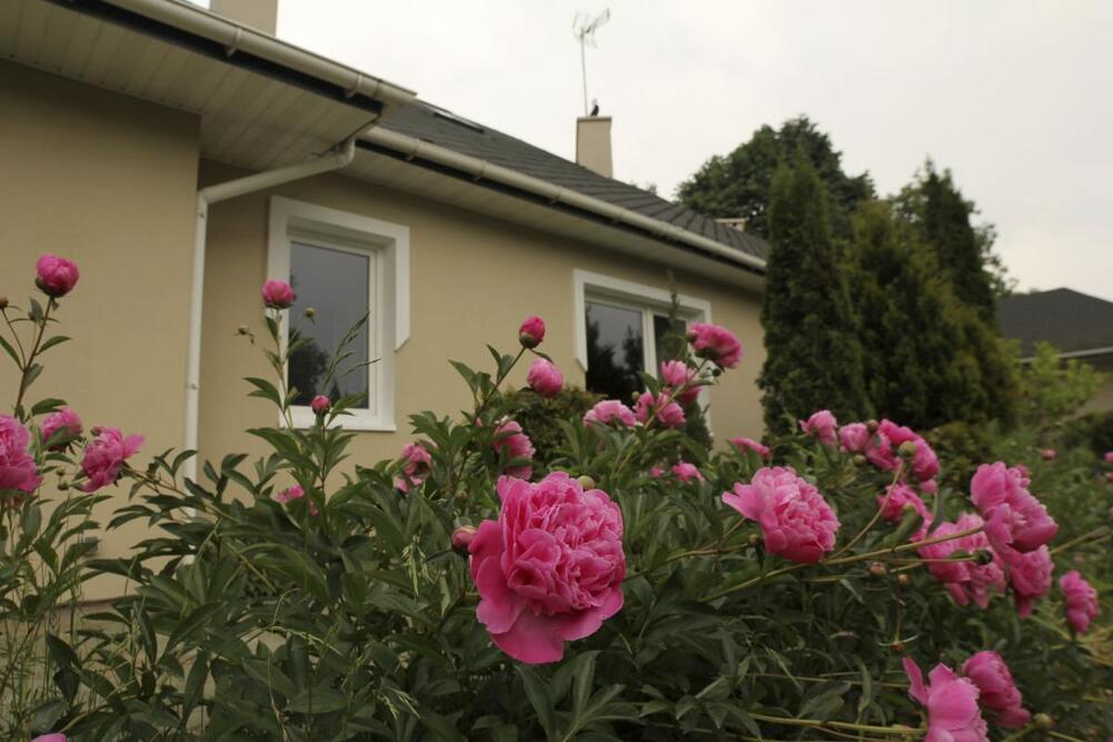 Dom Seniora „Villa Peonia” w Łodzi