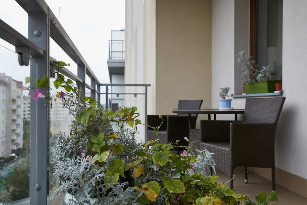 Ośrodek Opiekuńczo – Rehabilitacyjny „Willa Łucja” w Warszawie