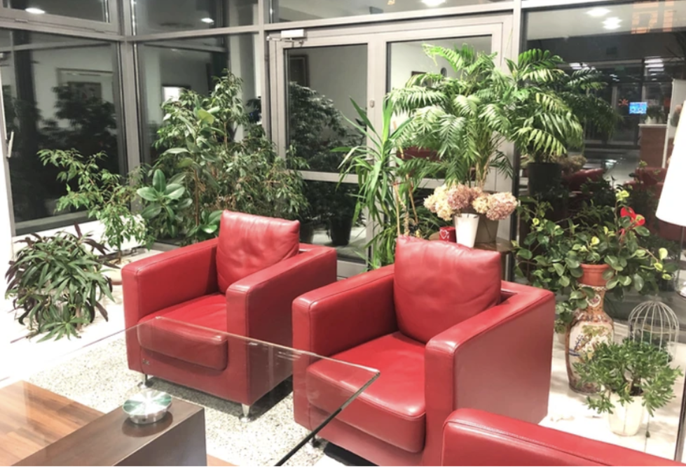 Dom Seniora „Jovimed” w Ksawerowie