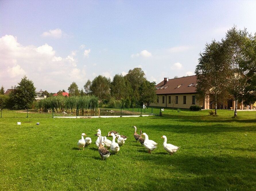 Ogród przed Domem dla Osób Starszych „Preczów” w Preczowie