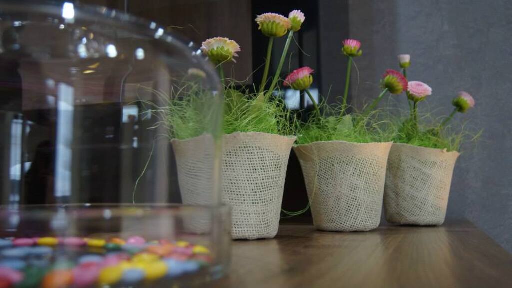 Centrum Seniora „Barbara” w Szemudzie