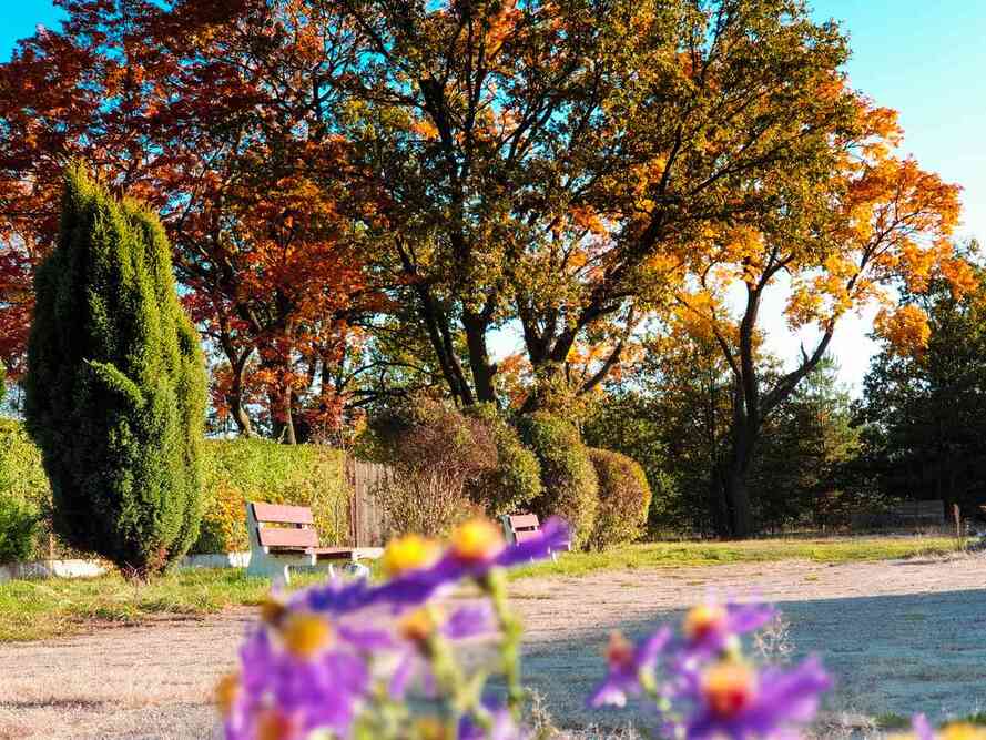 Dom Opieki „Corda” w Szczepanowie