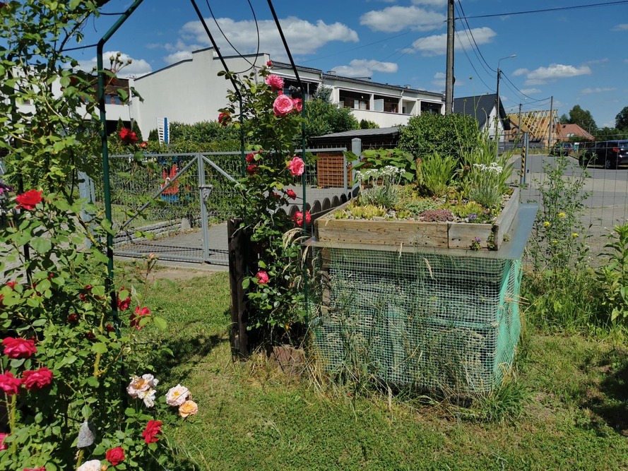 Dom Opieki „Lawendowy Zaścianek” w Zaściankach