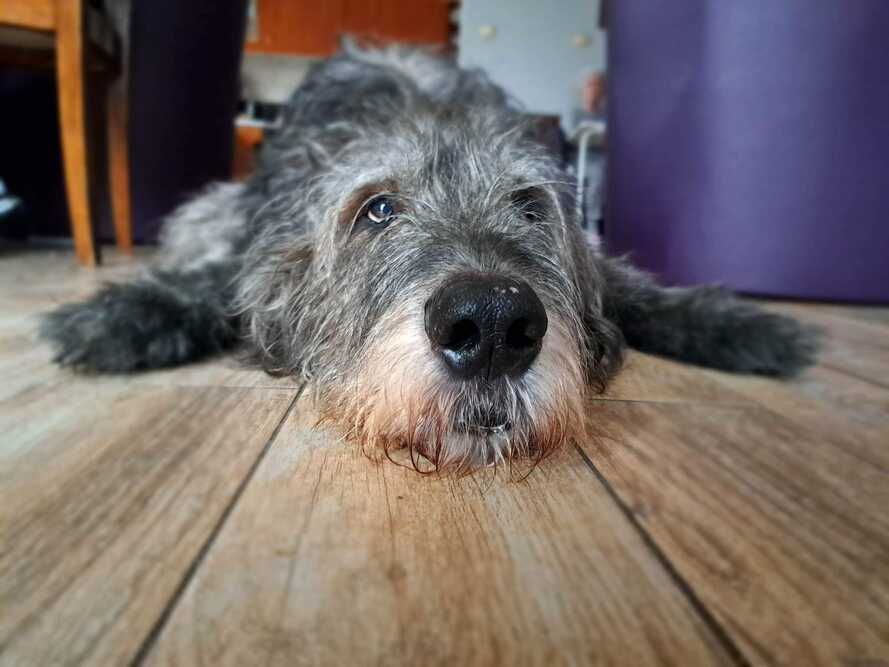 Dom Opieki „Malwa” w Ornontowicach