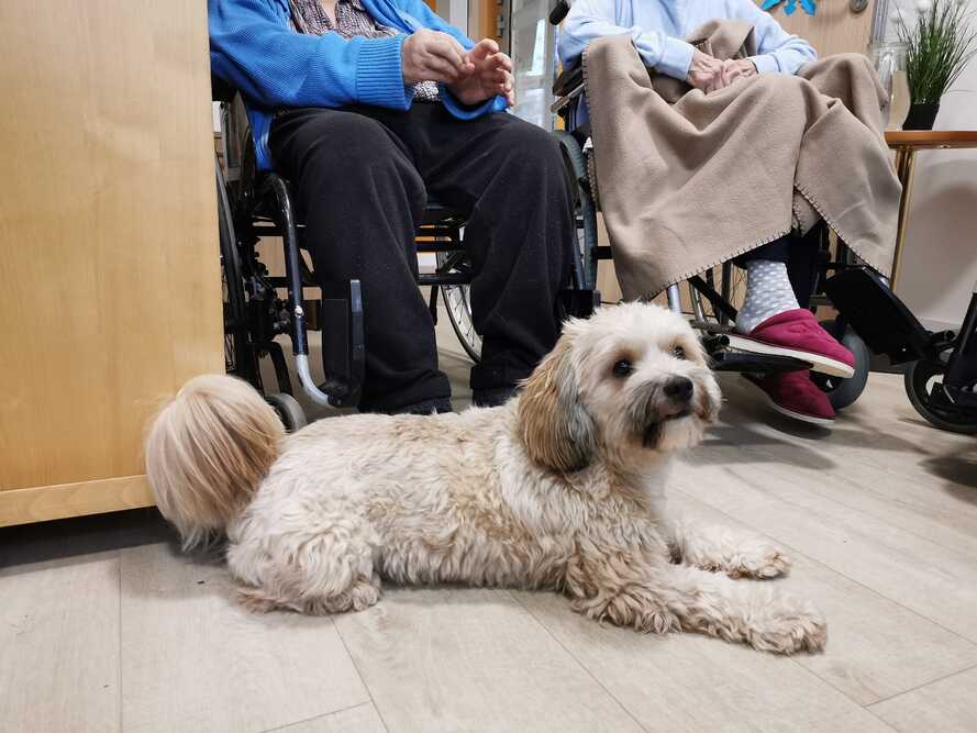 Centrum Rehabilitacyjno–Opiekuńcze „Słoneczna Przystań” w Szczecinie