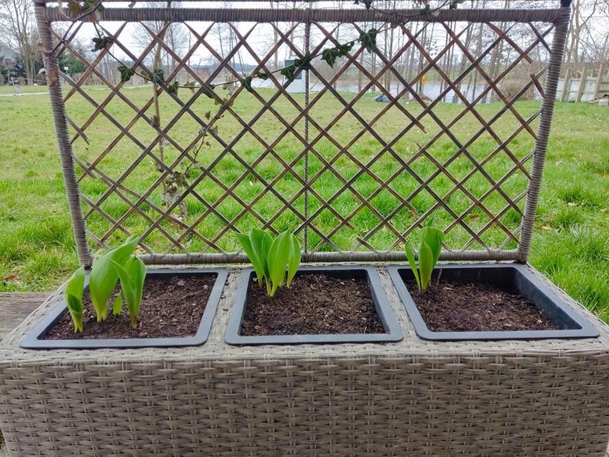 Dom Seniora „Gołębi Dwór” w Kamieniu Małym