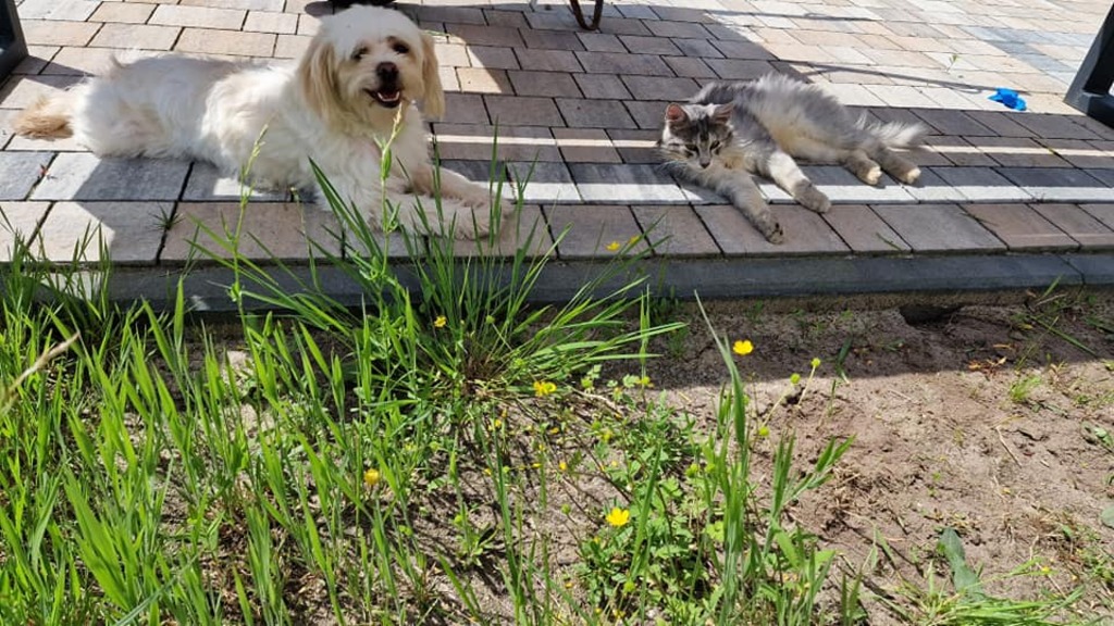 Dom Opieki „Prosto z Serca" w Kłyżu