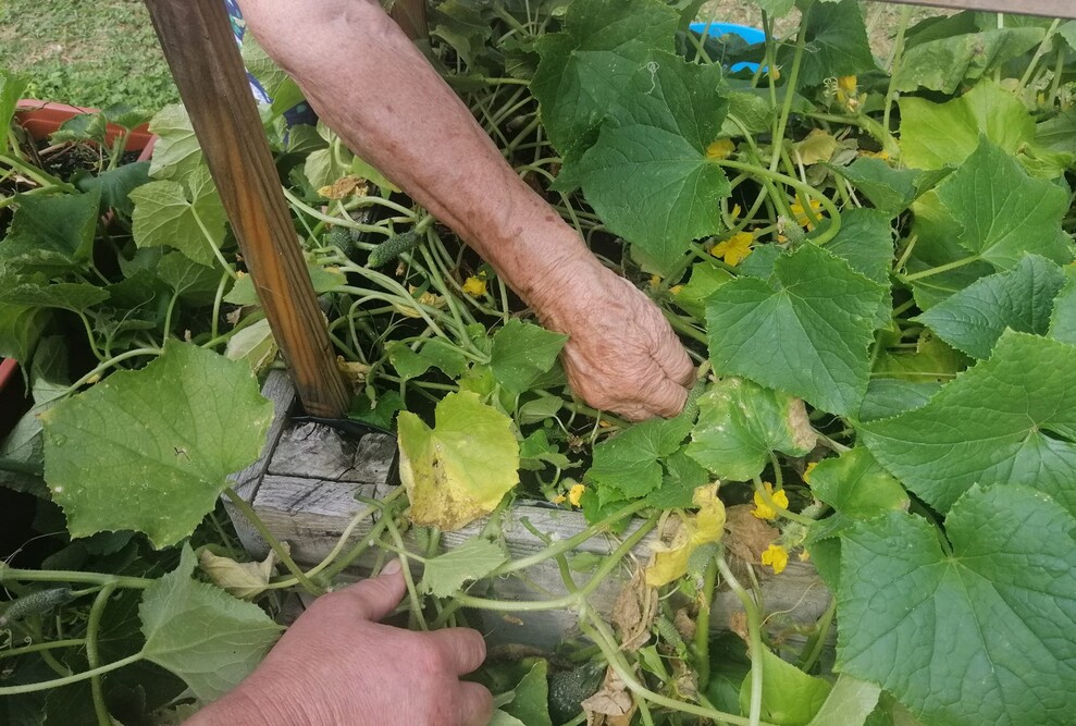 Dom Seniora „Sosnowy Dworek” w Żarkach-Letniskach