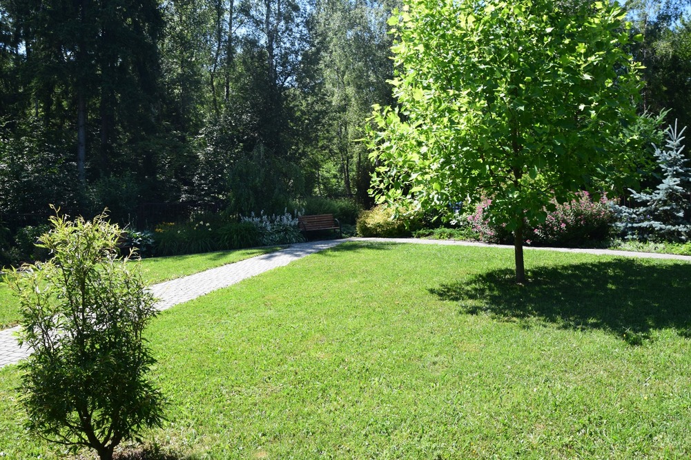 Willa Seniora w Buczkowicach