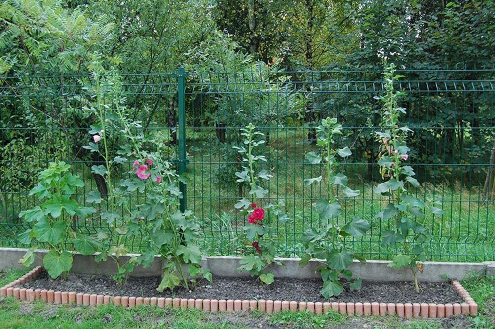 Dom dla Osób Starszych „Preczów” w Preczowie