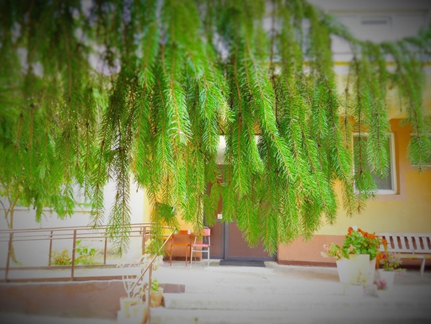 Dom Opieki „Zacisze” w Ostrej Górze