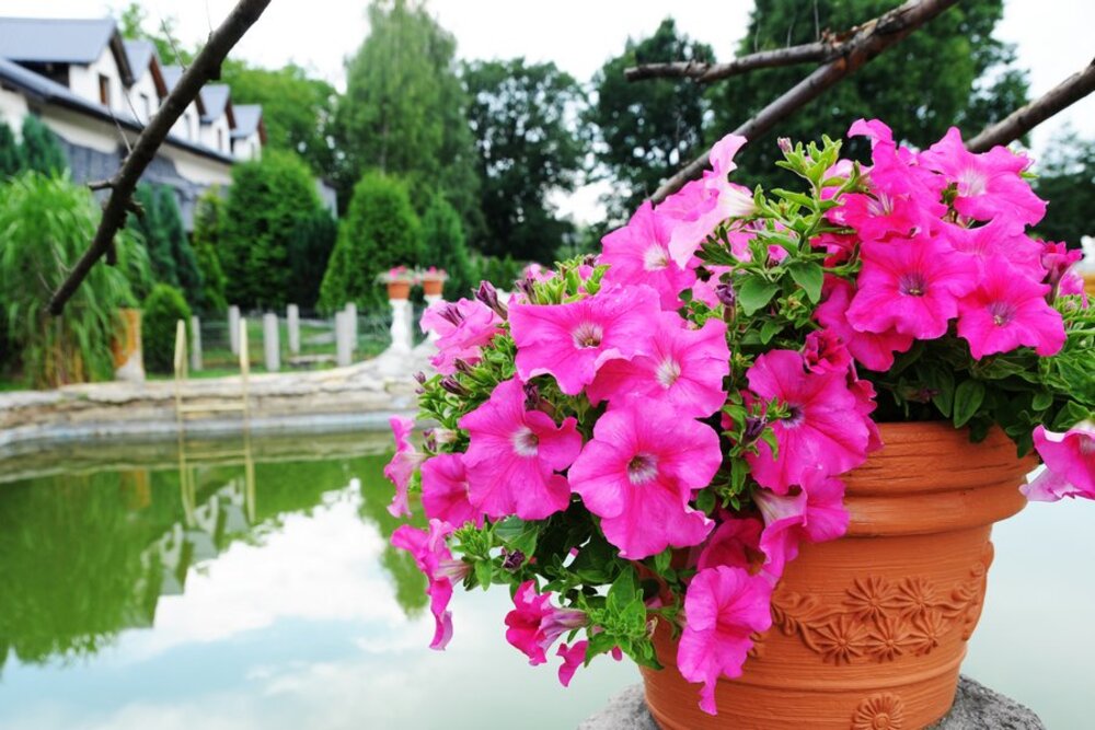 Dom Seniora „W Ogrodach” w Godowie