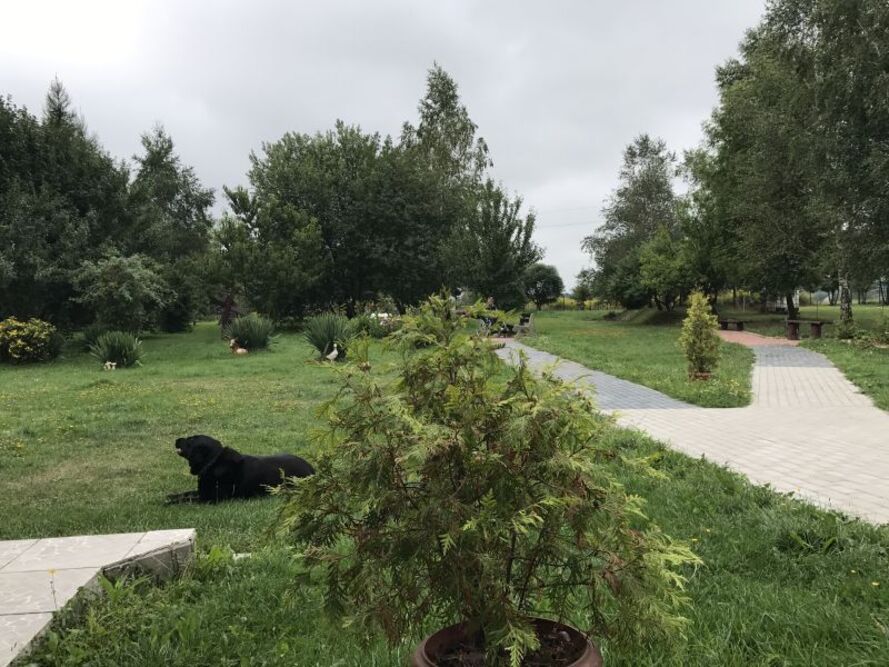 Dom dla Osób Starszych „Preczów” w Preczowie