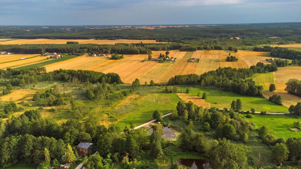 Dom Pomocy Społecznej „Złota Rybka” w Kochanowie