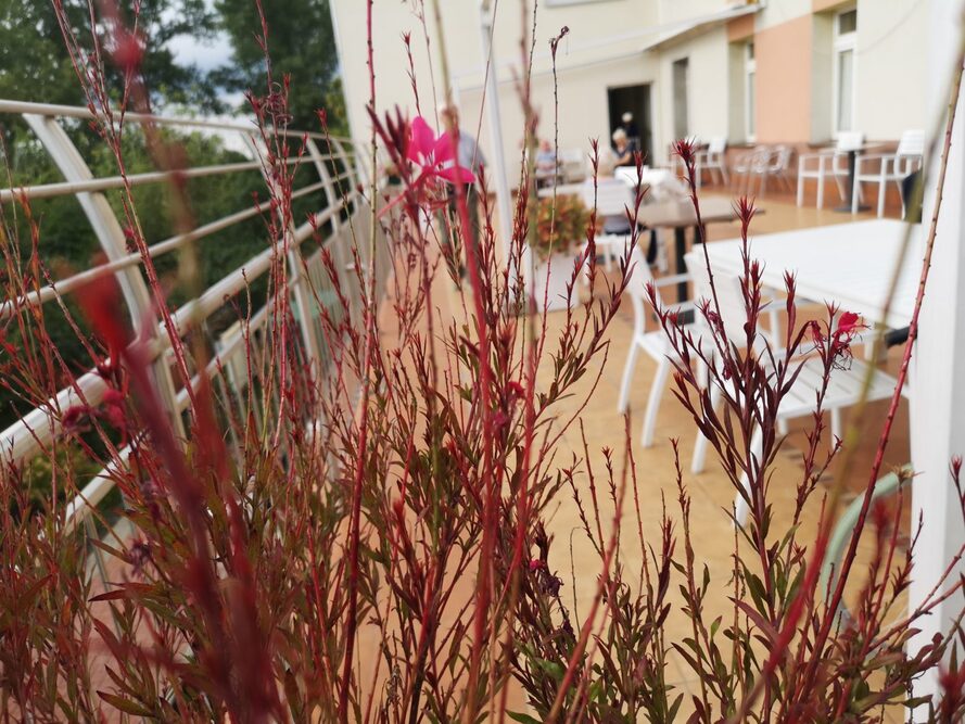 Dom Opieki „Oliwska 5” w Warszawie