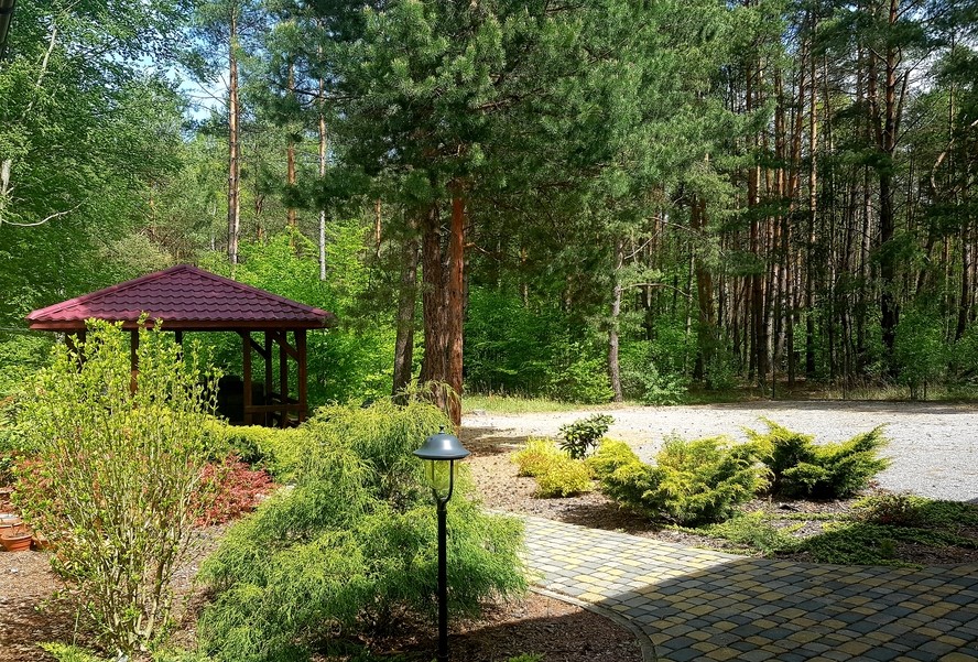 Dom Opieki „Leśniówka” w Turzy leży na ogrodzonej działce, w otoczeniu lasu