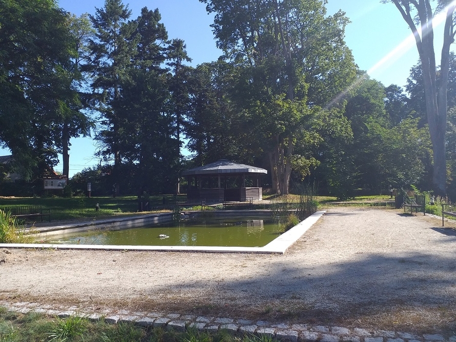 Dom Pomocy Społecznej w Krzecku