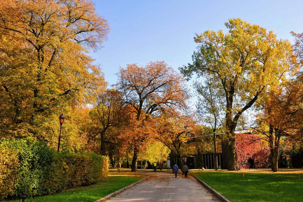 Sanatorium „Jesienna Rezydencja” w Nałęczowie