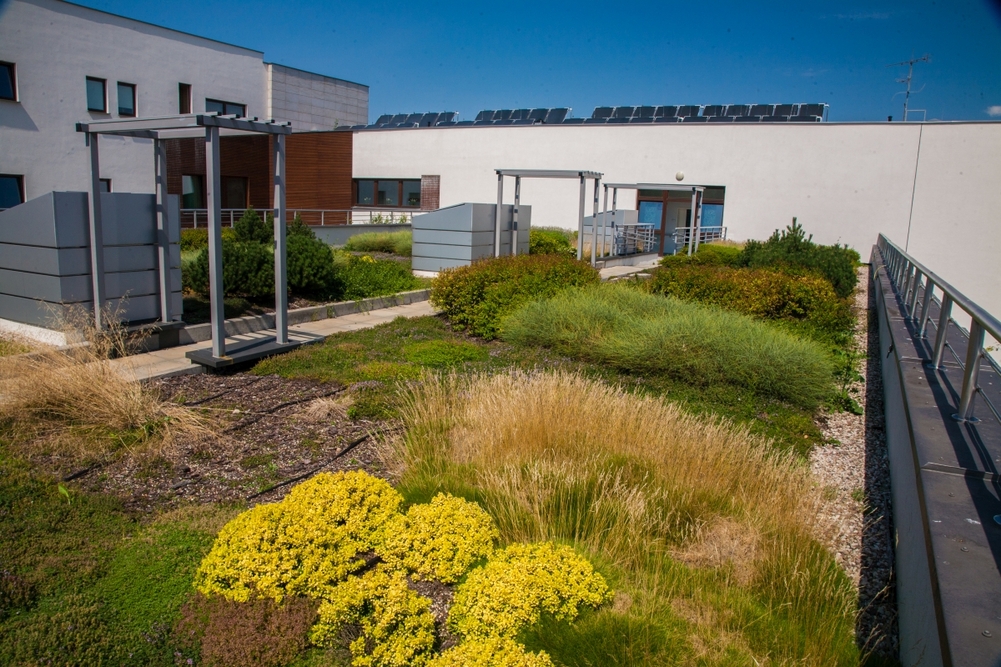 Centrum Alzheimera − Dom Pomocy Społecznej w Warszawie