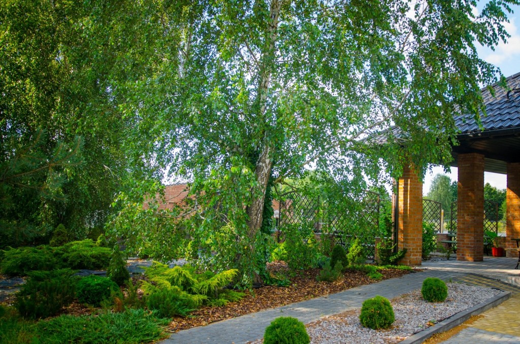 Dom Seniora w Kijance