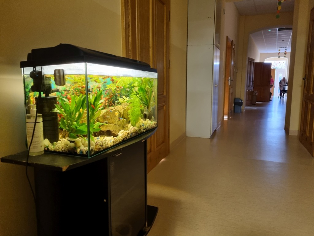 Dom Pomocy Społecznej w Wolsztynie